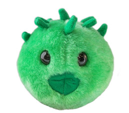 chlamydia