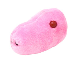 swineflu