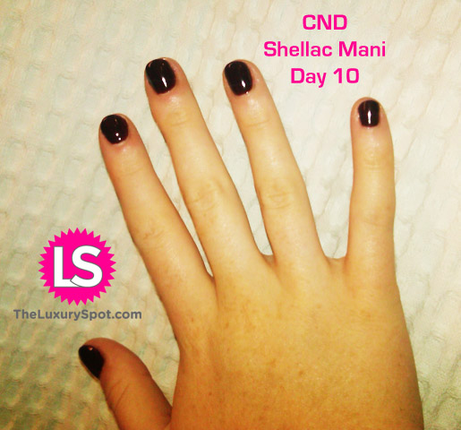 CND_SHELLAC_10days CND_SHELLAC_10days