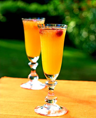 the-mango-bellini1 the-mango-bellini1