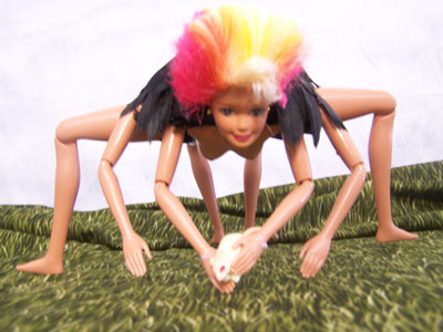 Crazy Barbie Photos