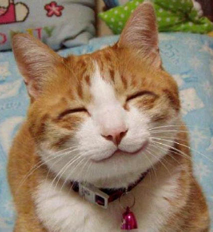 stoned