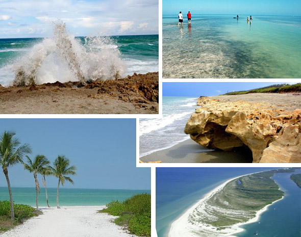 Florida pic