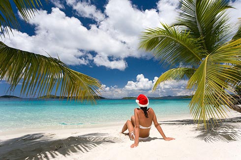 Tropical Christmas