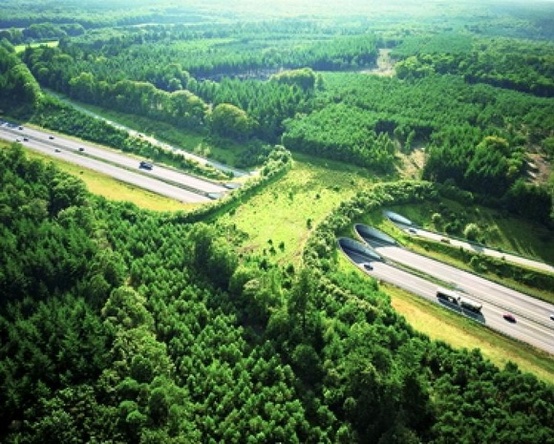 wildlife overpass