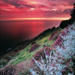 big sur