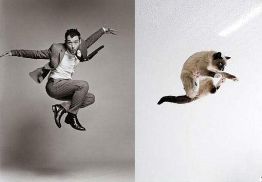 male models and cats male models and cats
