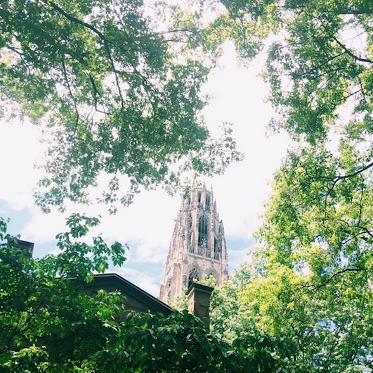 Yale Campus