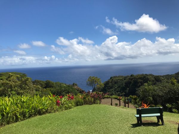 Best Dog Friendly Hotel In Maui Best Dog Friendly Hotel In Maui
