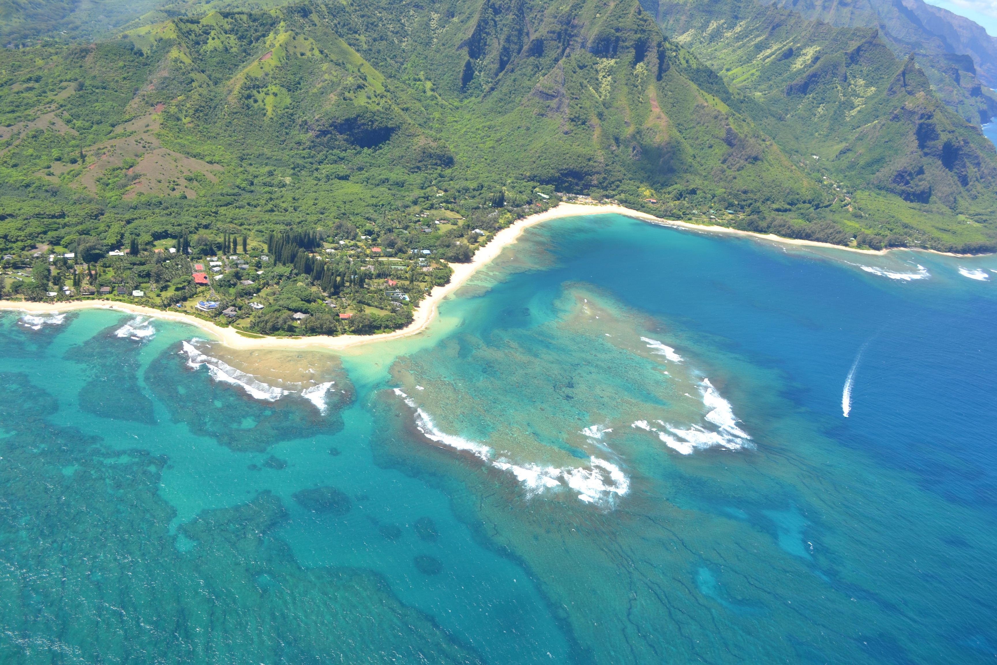 Best Dog Friendly Hotel In Maui Best Dog Friendly Hotel In Maui