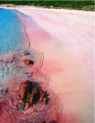 Pink Beach Florida The Best Beaches In World Pink Beach Florida The Best Beaches In World